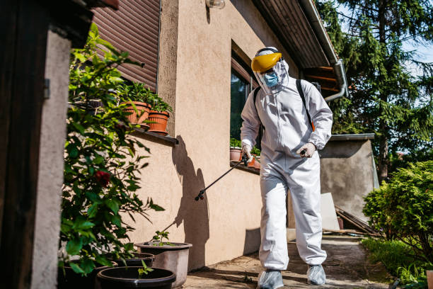 Best Affordable Pest Control Services  in Binghamton University, NY