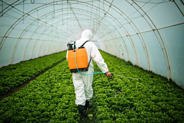 Insect Control in Binghamton University, NY