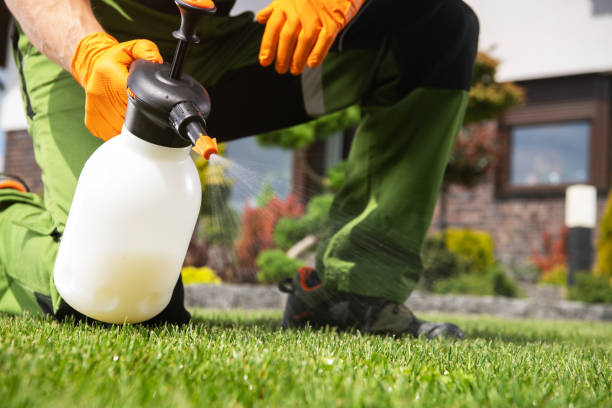 Professional Pest Control in Binghamton University, NY