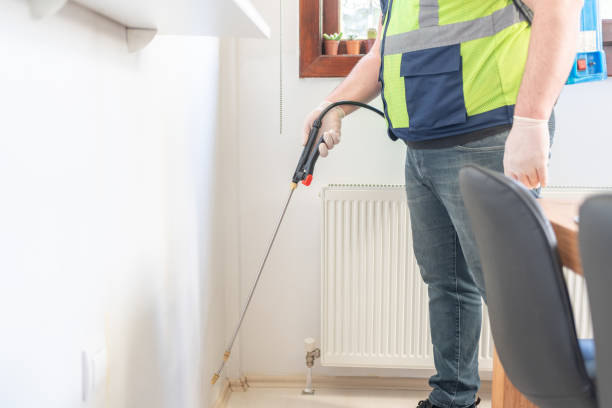 Best Pest Control Near Me  in Binghamton University, NY