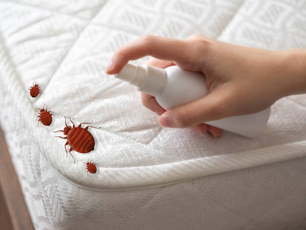 Best Pest Prevention Services  in Binghamton University, NY
