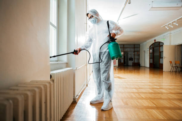 Best Cockroach Control Services  in Binghamton University, NY