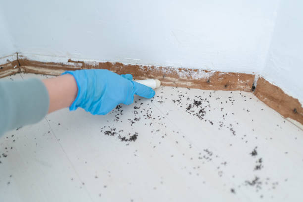 Pest Prevention Services in Binghamton University, NY