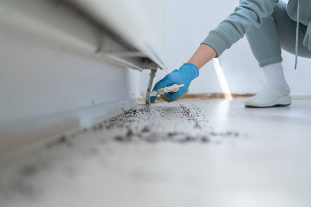 Best Mosquito Control Services  in Binghamton University, NY